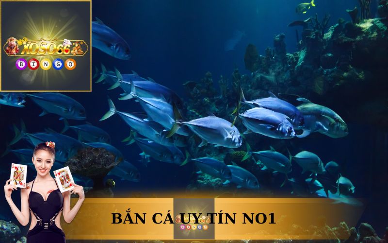 BẮN CÁ UY TÍN TOP 1 HIỆN NAY CHỈ CÓ THỂ LÀ XOSO66